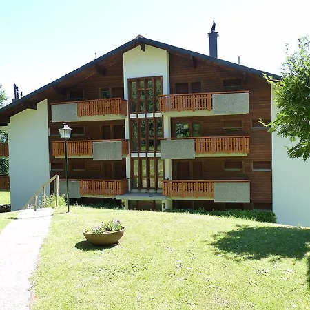 Holiday Domino B 36